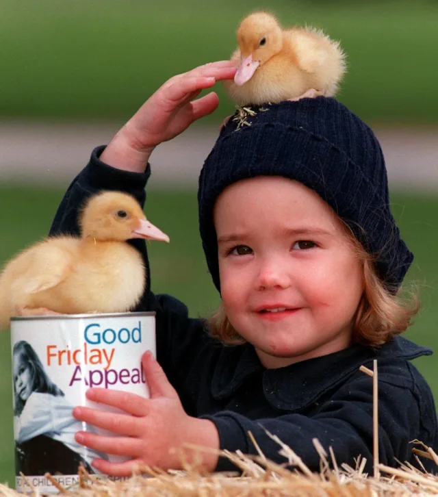 Throwback to 2-year-old Dakota with some adorable baby ducks for the 1999 Good Friday Appeal 💜

What is your favourite Good Friday Appeal memory?